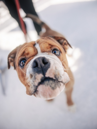 TDE-TROPHEES-WEB-Lucascerri-105